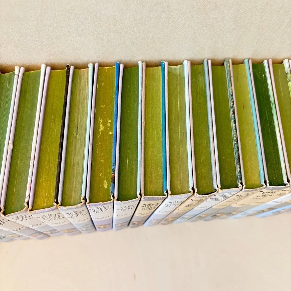 Bobbsey Twins Lot of 37 Book Set Vintage Hardcover Kids Mystery Series Nostalgic